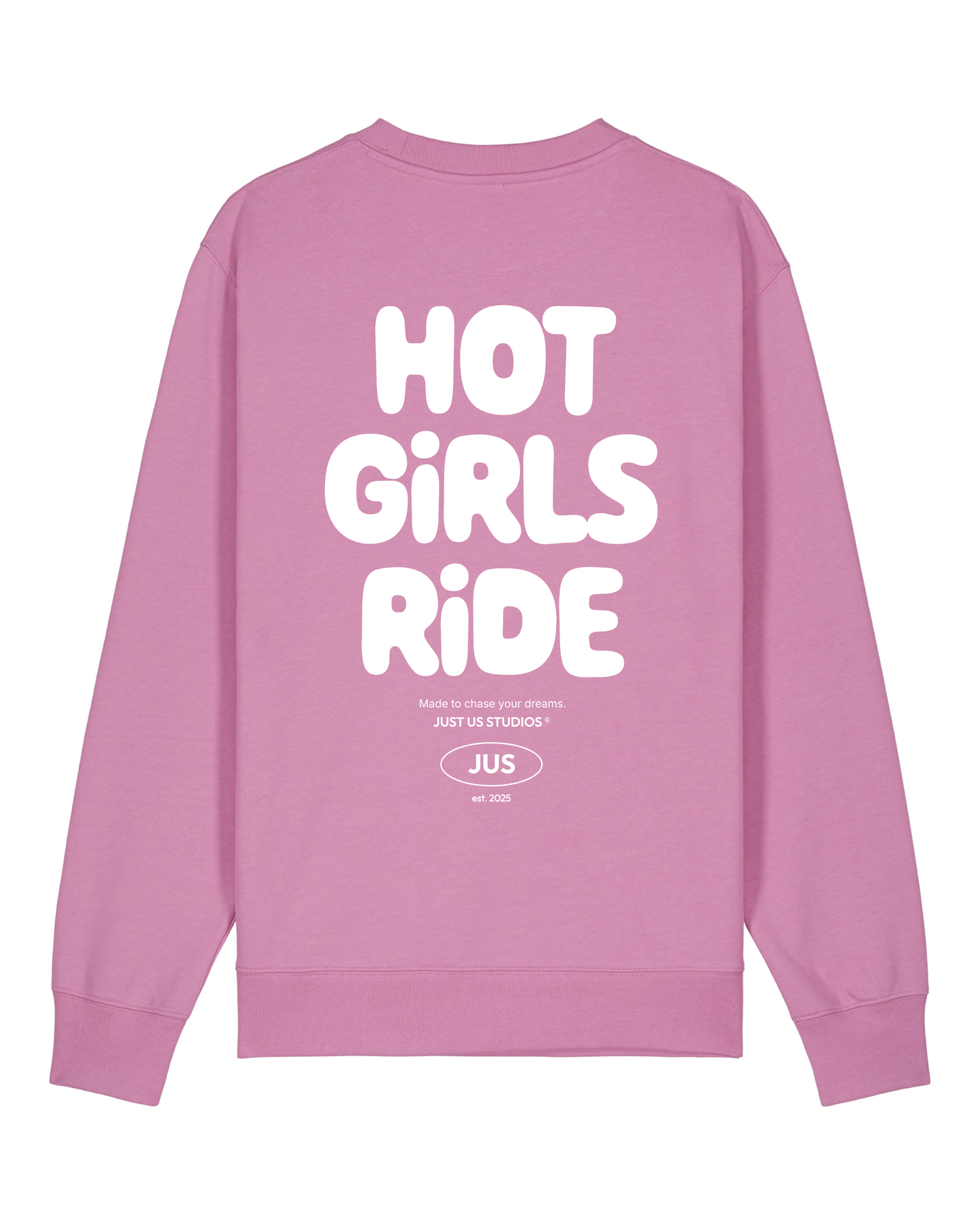 Hot Girls Ride Sweater - Pink